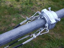 Diverse radiorum , ant fra TM 02